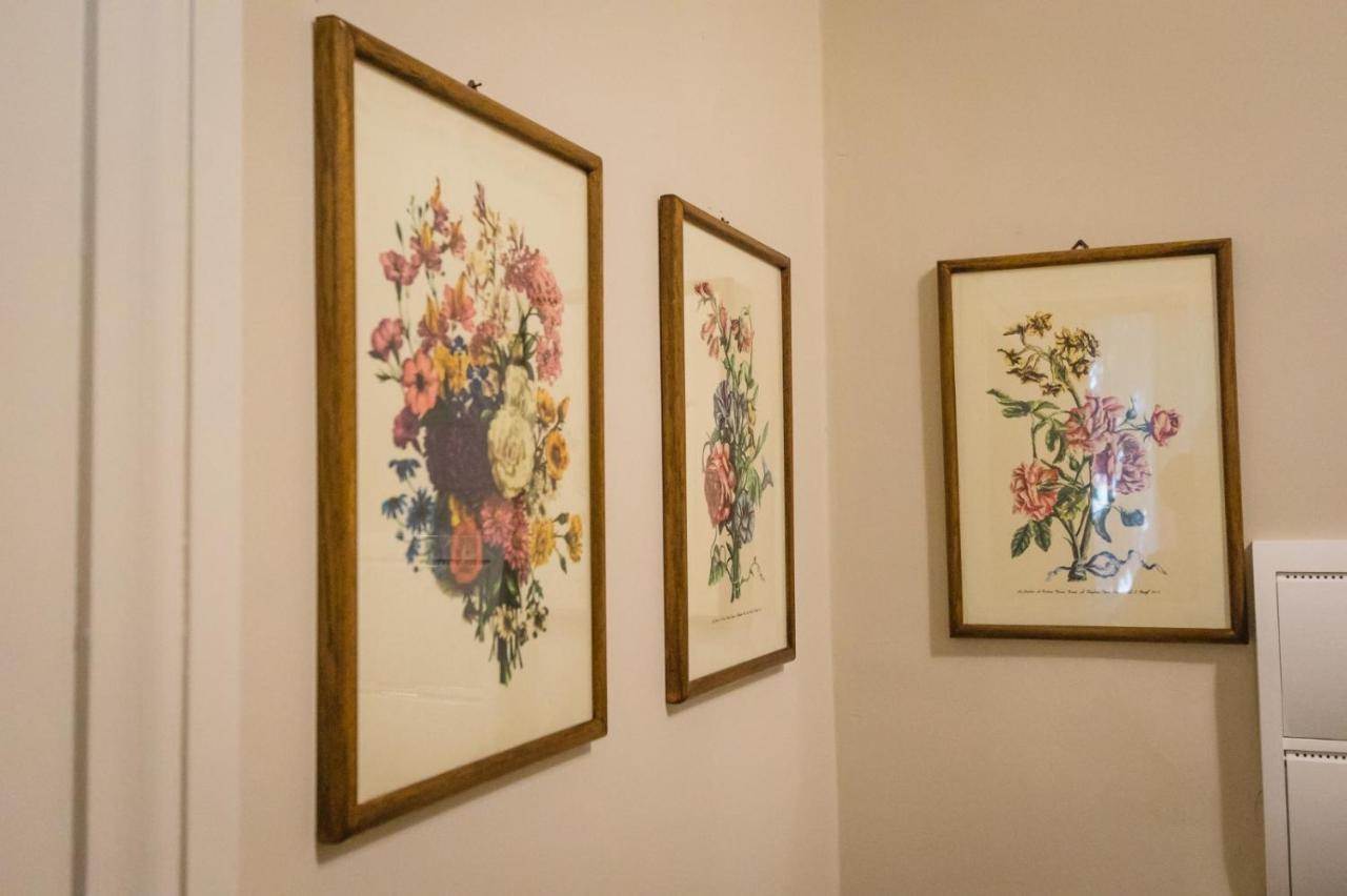 מצ'רטה Hortensia Garden מראה חיצוני תמונה